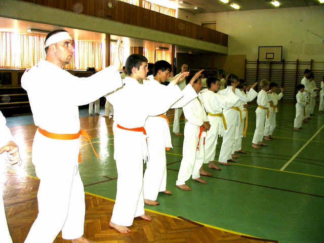 karate3.jpg (236361 bytes)