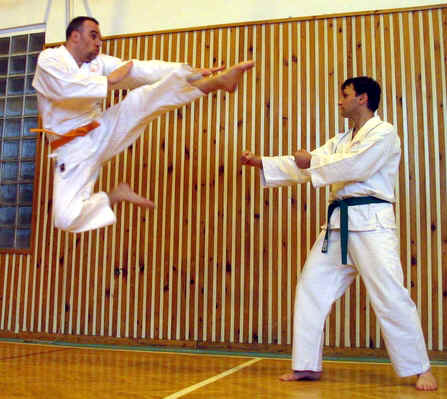karate5.jpg (171800 bytes)